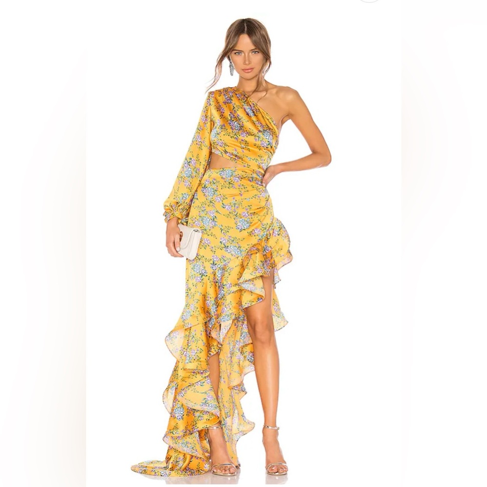 Bronx & Banco Hanna Gown in Multicolor - GORGEOUS!!!!!!